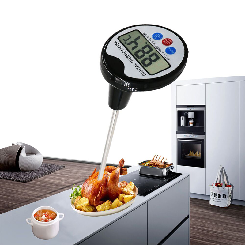 Pen Style: strumenti per la misurazione della temperatura di utilizzo domestico per la cucina. Griglia per barbecue